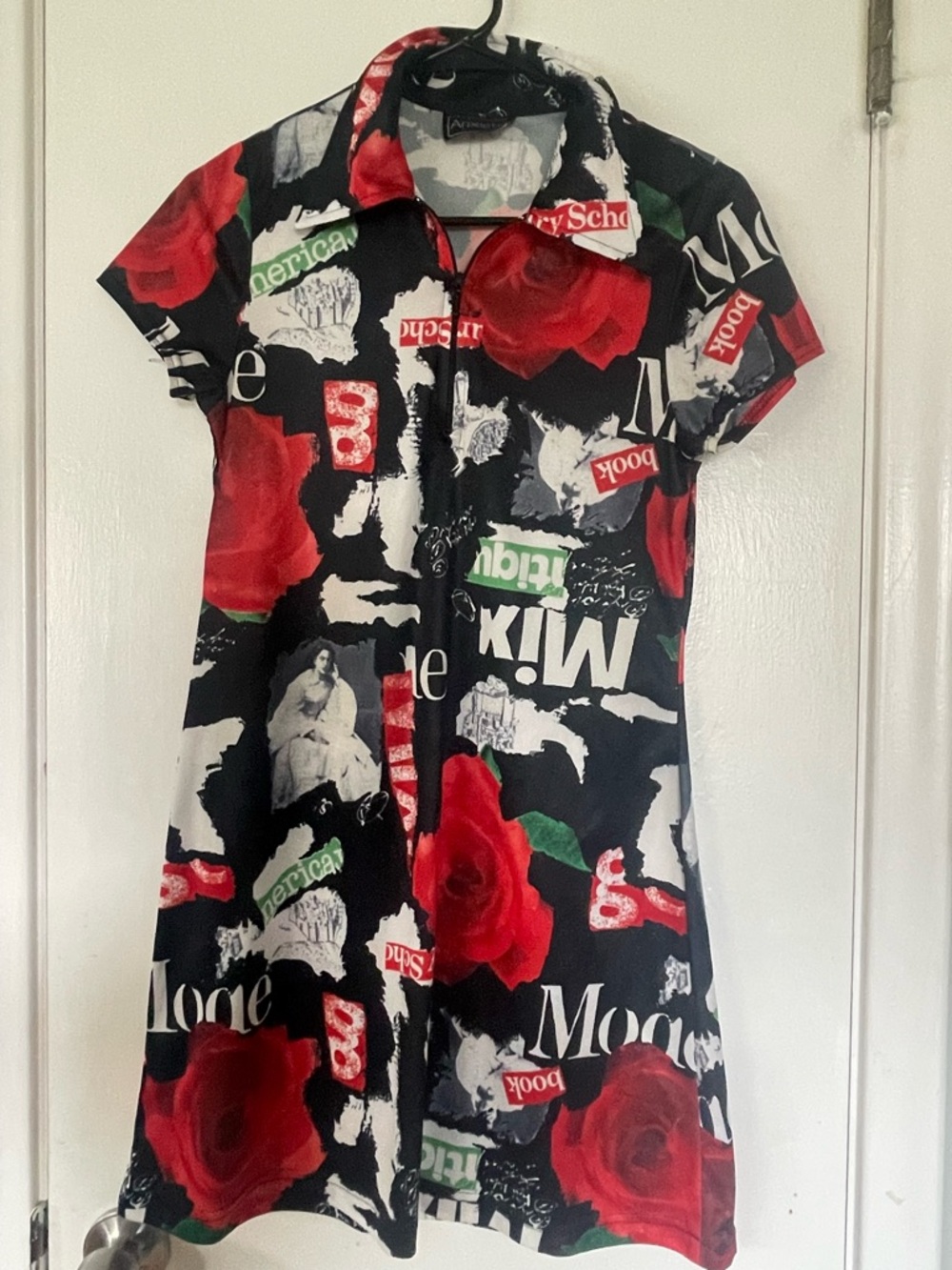 Black Mini Dress with Red Rose Graphic Print and Collar